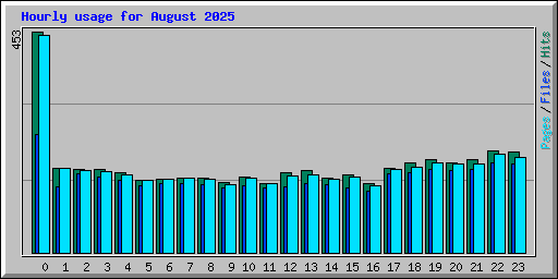 Hourly usage for August 2025