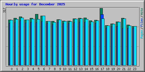 Hourly usage for December 2025