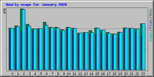 Hourly usage for January 2026