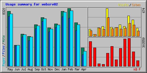 Usage summary for websrv02